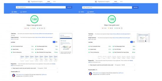 100% on Google PageSpeed Insights