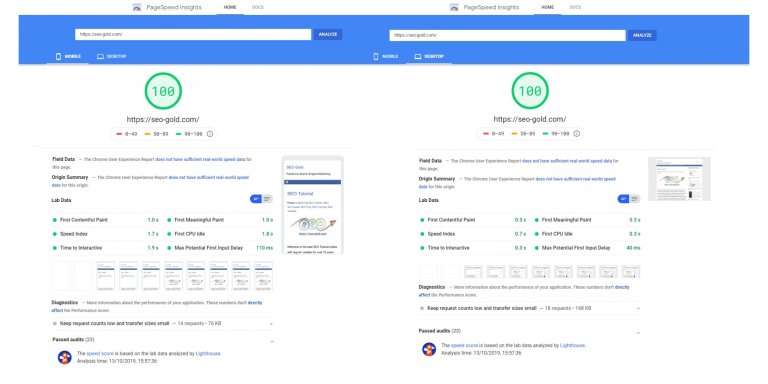 100% on Google PageSpeed Insights