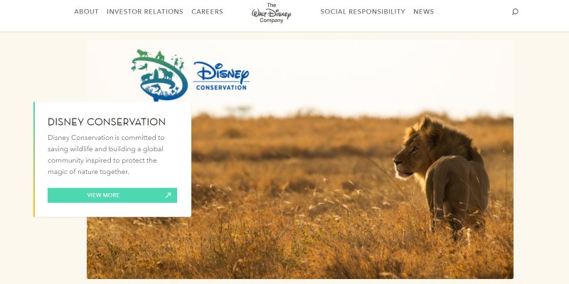 Disney Conservation Fund 2020