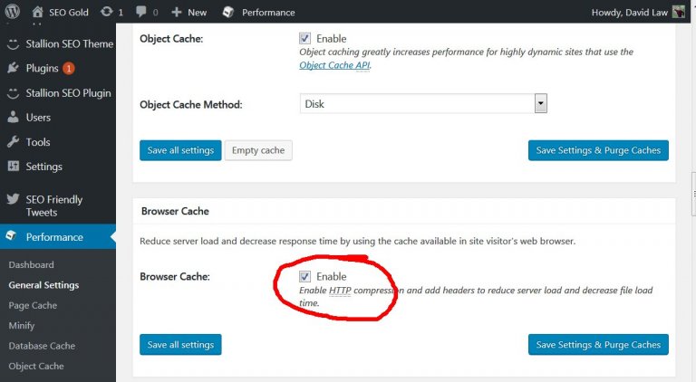 Enable W3 Total Cache Plugins Browser Cache