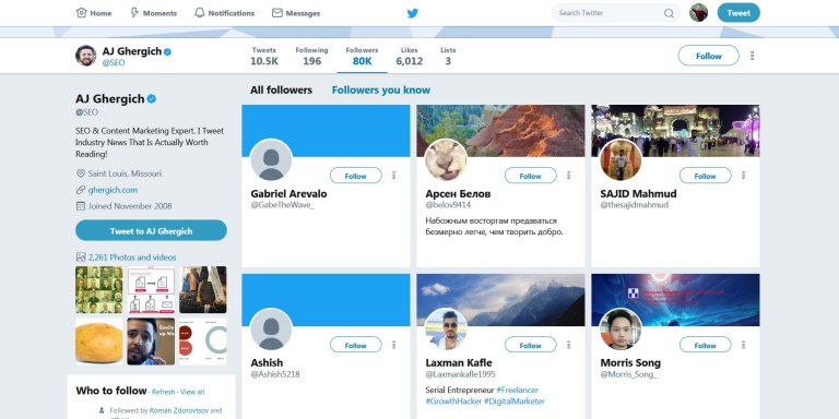 Example Twitter Followers Page