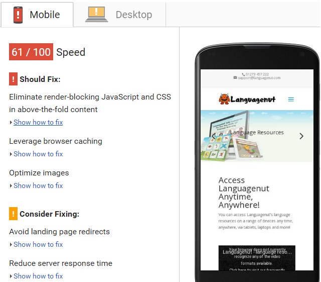 Google Pagespeed Insights Mobile Results
