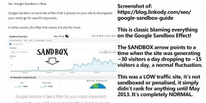 Google Sandbox Penalty Blamed for Poor Rankings
