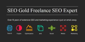 hire-a-freelance-seo-expert-300x150.jpg