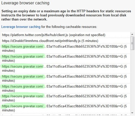 Gravatar Leverage Browser Caching Issues