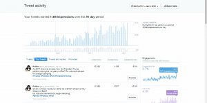 Popular Twitter Account Growth