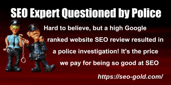 SEO Expert Questioned by Police
