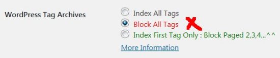 Stallion WordPress SEO Not Index Tags