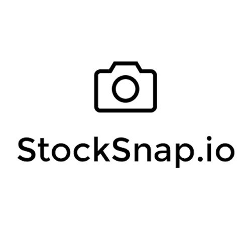 StockSnap Royalty Free Stock Photos
