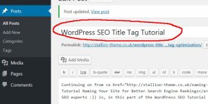 WordPress Post Title Tag