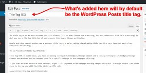 WordPress Posts Title Tag